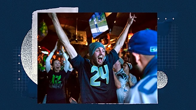 DirecTV Will Carry NFL Sunday Ticket for Bars, After All