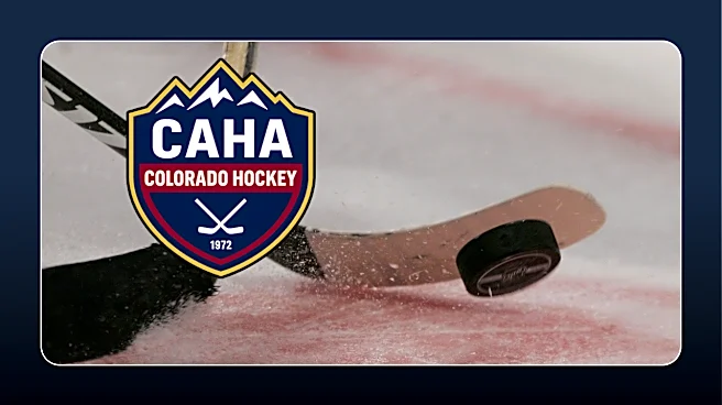 Ex-Colorado Youth Hockey Boss Sued for Evading Fraud Judgment