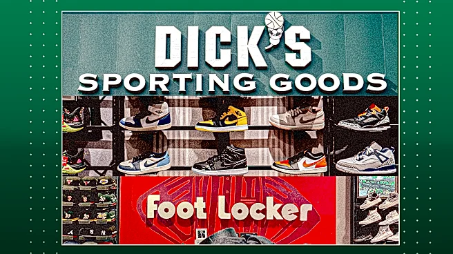 Sneaker Industry Faces ‘Hangover’ as Dick’s Shares Drop 27%