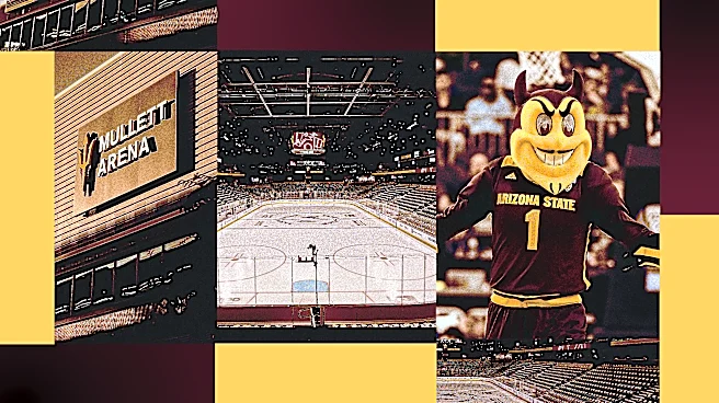 The Money Behind Arizona State’s Beleaguered Hockey Program