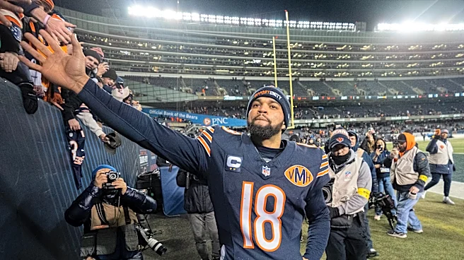 Chicago Bears at Carolina Panthers odds, picks and predictions