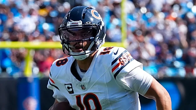 Minnesota Vikings at Chicago Bears odds, picks and predictions
