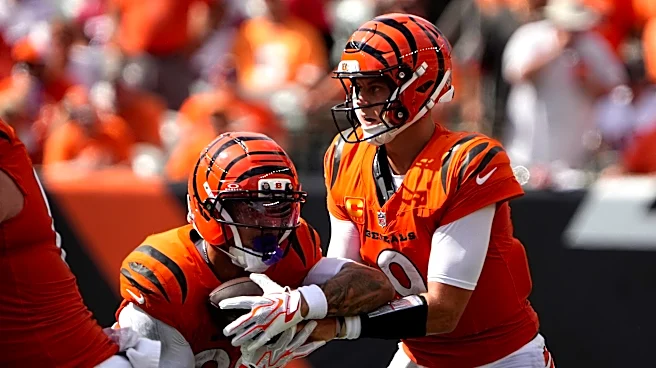 Cincinnati Bengals at Houston Texans odds, picks and predictions