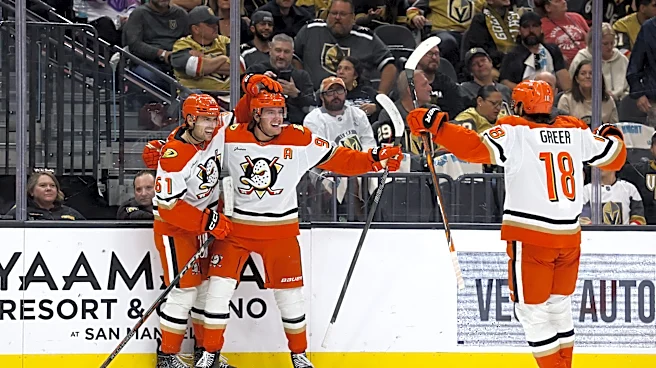 Florida Panthers at Anaheim Ducks odds, picks and predictions