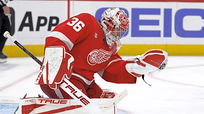 New Jersey Devils at Detroit Red Wings odds, picks and predictions