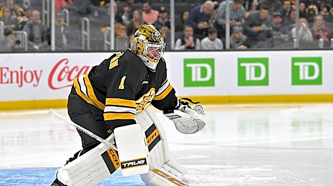 Boston Bruins at San Jose Sharks odds, picks and predictions