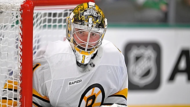 Boston Bruins at Carolina Hurricanes odds, picks and predictions