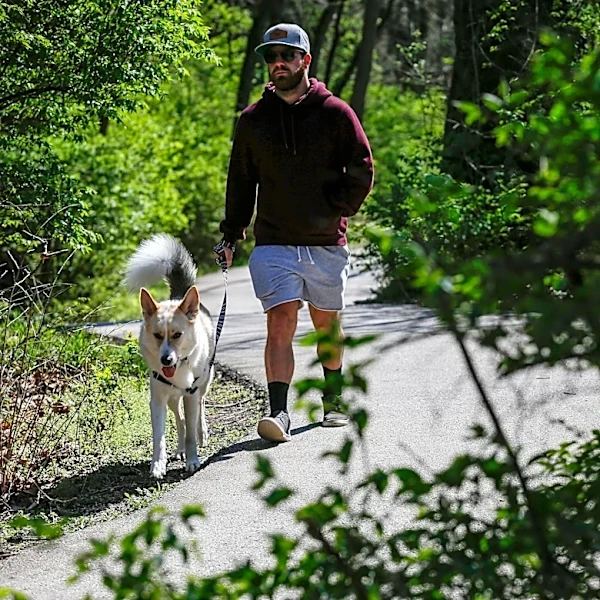 Shelter pets to benefit from upcoming Wag N' Walk fundraiser