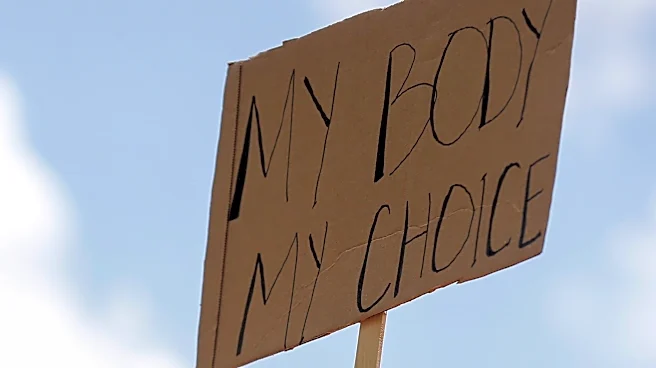 Your guide to key races, topics on the November ballot in Missouri