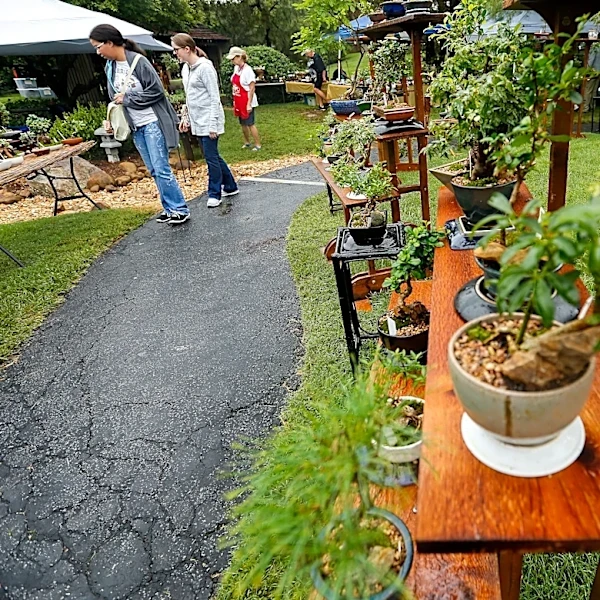Here are 22 Ozarks events to fill your calendar this September