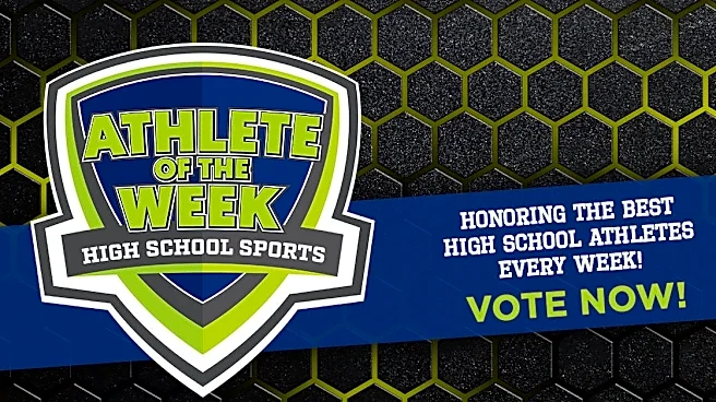 Vote for Springfield area's Athlete of the Week for Aug. 24-29
