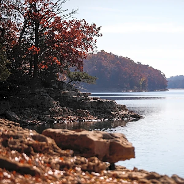 Springfield CU announces changes to Fellows Lake Marina operations
