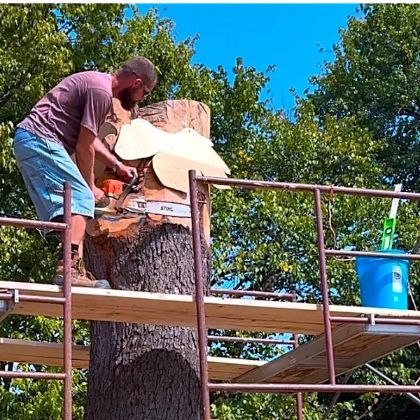 Springfield artist carving wildlife sculpture at Phelps Grove Park