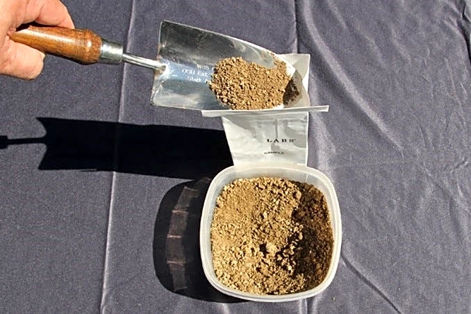 Expert tips for soil testing, debris cleanup and more fall garden prep