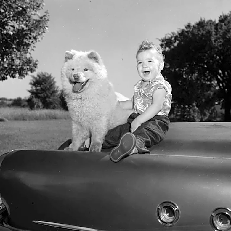 From the Darkroom shows photogenic pair posing for 1958 puppy match