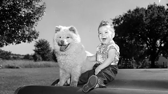 From the Darkroom shows photogenic pair posing for 1958 puppy match