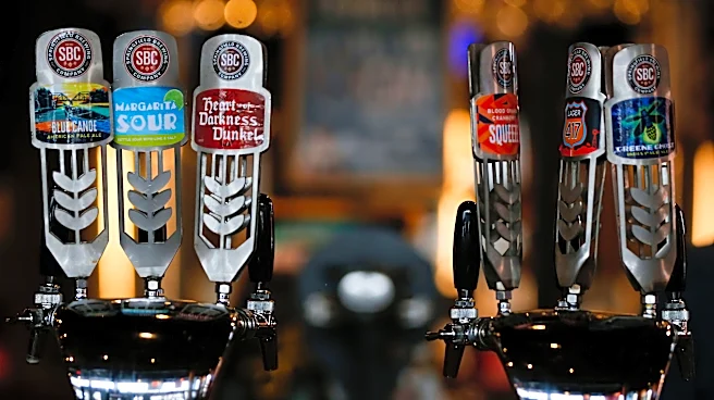 Springfield Brewing Co. returns to full service with new menu