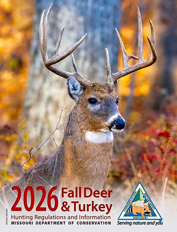 Warm weather slows Missouri early antlerless deer harvest