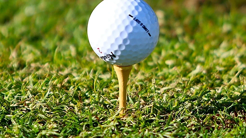 Laylah Bates wins title, Greenwood makes history at girls state golf tournament