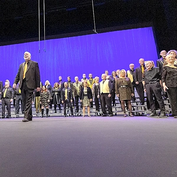 Springfield Harmony Alliance wins 8 honors at district convention
