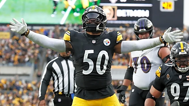 Why cutting Elandon Roberts reveals a shift in Steelers defense