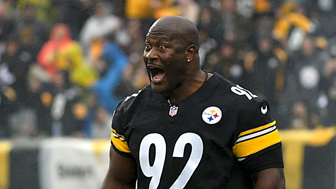 James Harrison calls out Steelers over shocking fan-favorite release