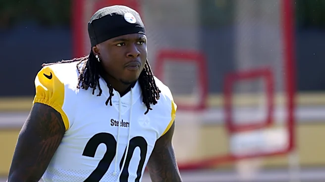How did former Steelers RB Kaleb Johnson perform in first Packers game?