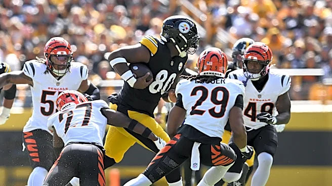 Steelers' Darnell Washington bulldozes Bengals defenders in crazy Week 3 highlight