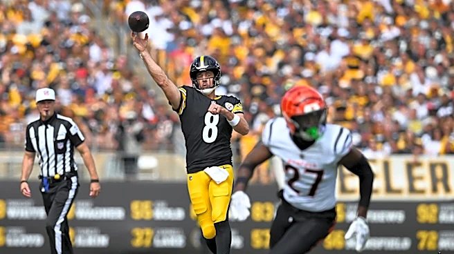 Steelers QB Aaron Rodgers suffers concerning injury in Week 3 vs. Bengals