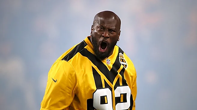 James Harrison calls out Steelers' 10-year playoff drought in rant