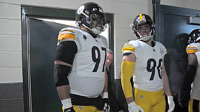 James Harrison calls out Steelers' highest-paid defense