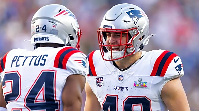 Steelers bring in 9 free agents for visits and tryouts
