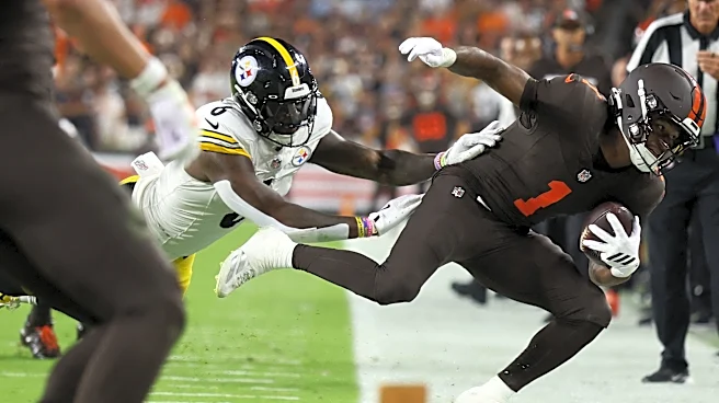 Former Steelers LB blasts Patrick Queen after terrible Week 4 performance