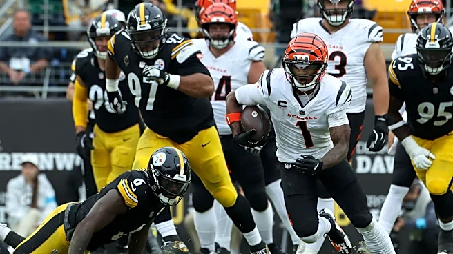 James Harrison slams Steelers' run defense and block shedding