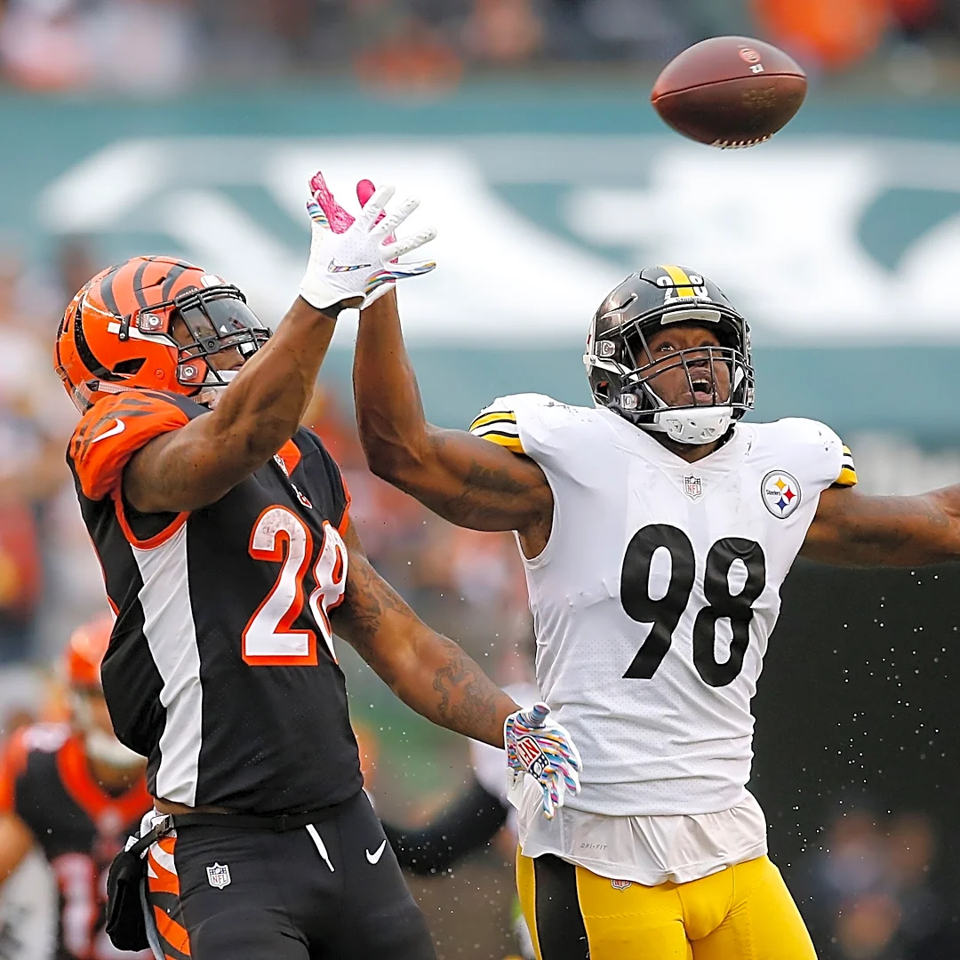 Cam Heyward reveals legendary Vince Williams trash-talk vs Bengals
