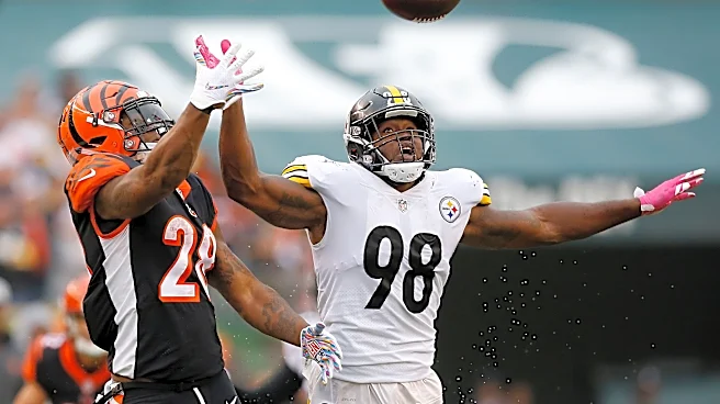 Cam Heyward reveals legendary Vince Williams trash-talk vs Bengals