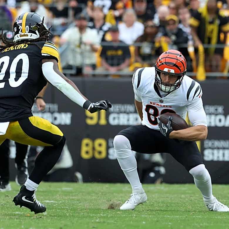 Former Steelers safety joins AFC North rival