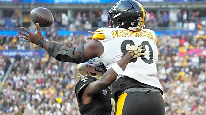 Cam Heyward calls Darnell Washington's red zone dominance 'disgusting'