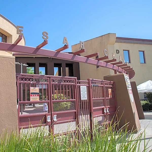Cesar Chavez High School name stays for now, more discussions to follow