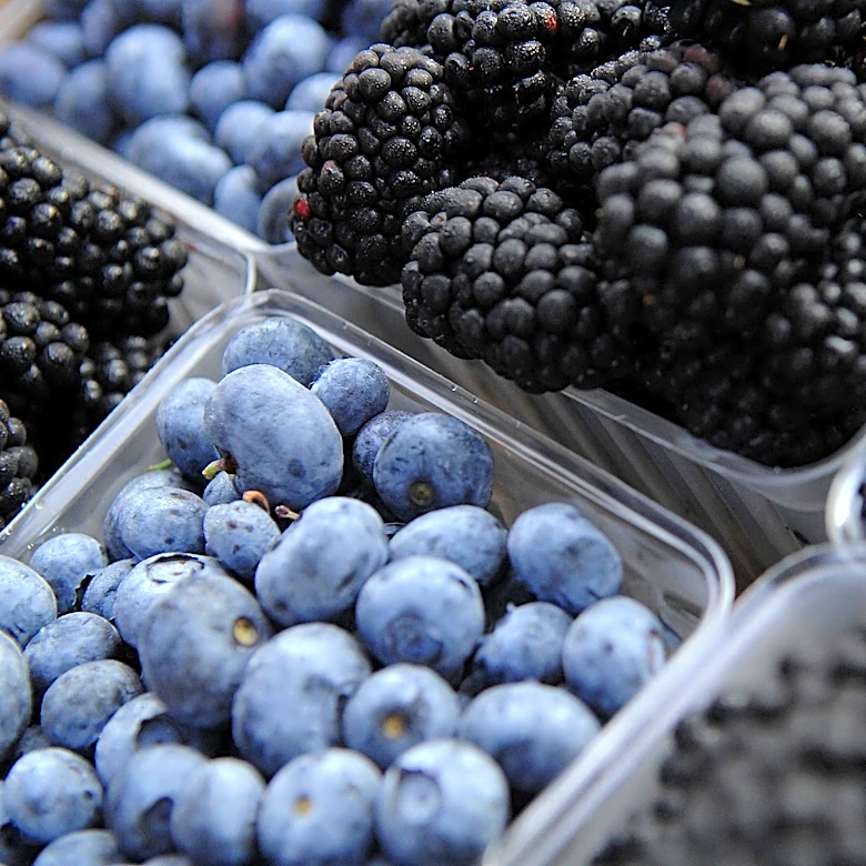 Where San Joaquin County families can get free groceries in September