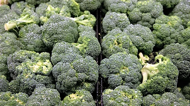 Where San Joaquin County families can get free groceries in October