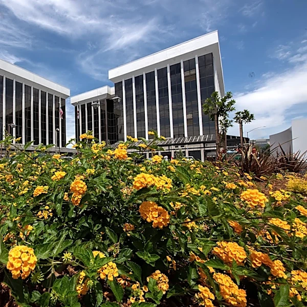 Bloed lawsuit, city clerk replacement face Stockton council