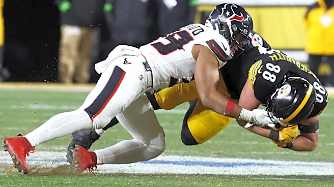 Texans HC DeMeco Ryans calls injury to LB Henry To'oTo'o 'a big loss' entering Week 2