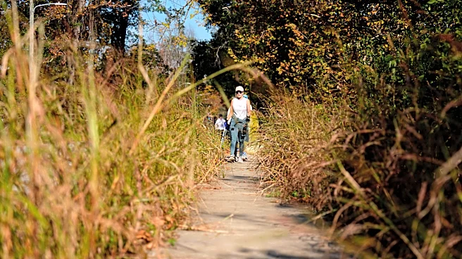 Health-focused message boosts interest in litter cleanup | Exclusive