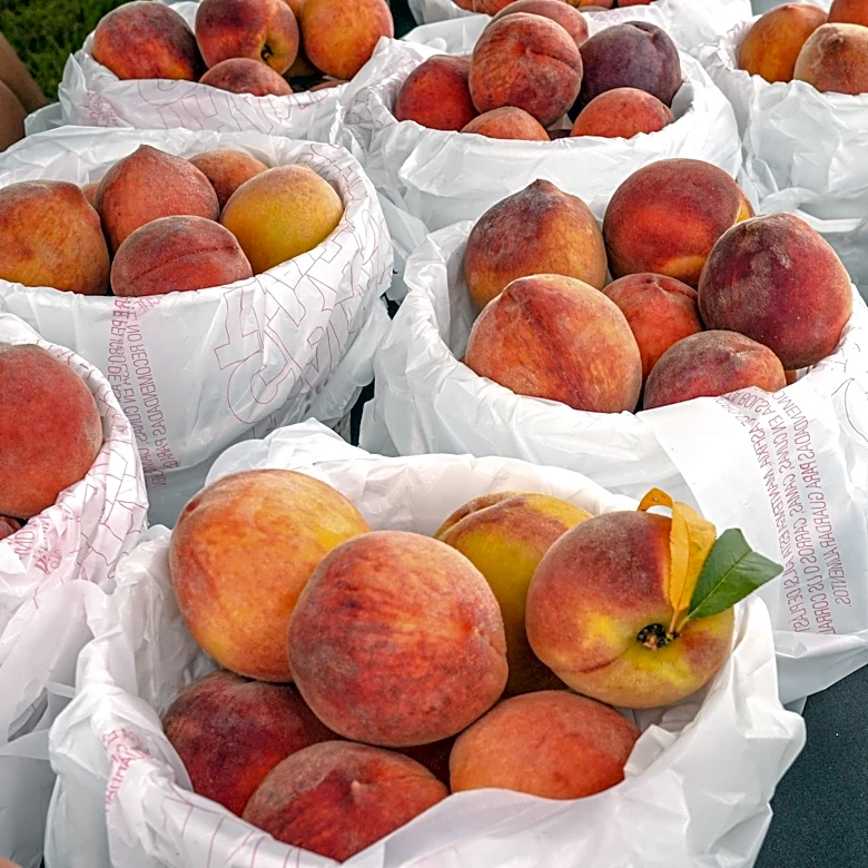 Climate change threatens peach harvests in Georgia. 5 things to know.