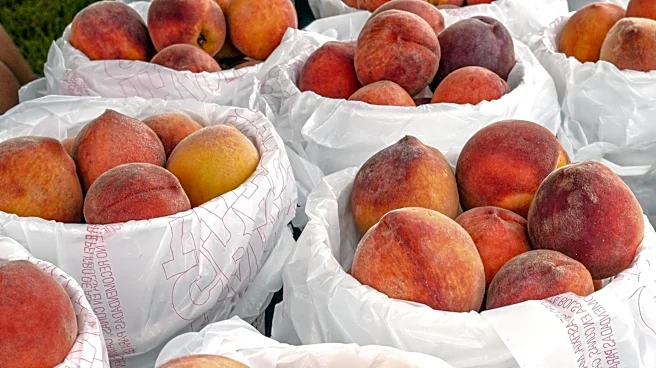 Climate change threatens peach harvests in Georgia. 5 things to know.
