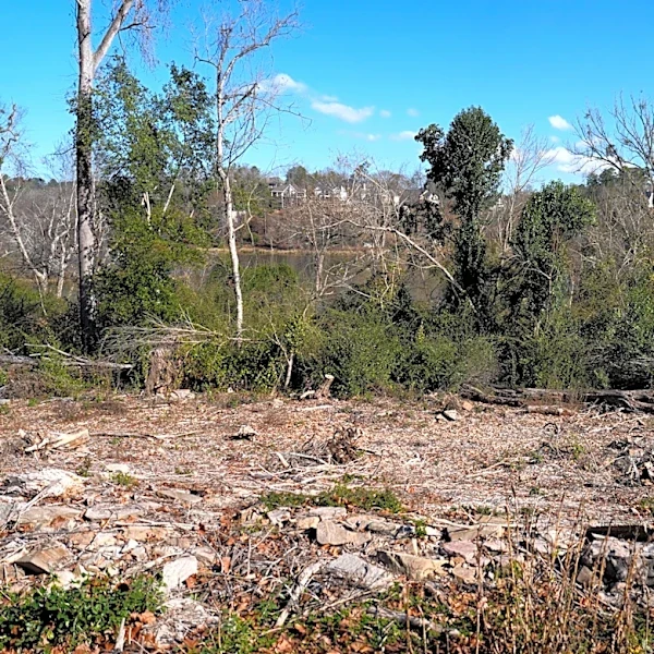 Georgia residents can seek Helene recovery help through 2027