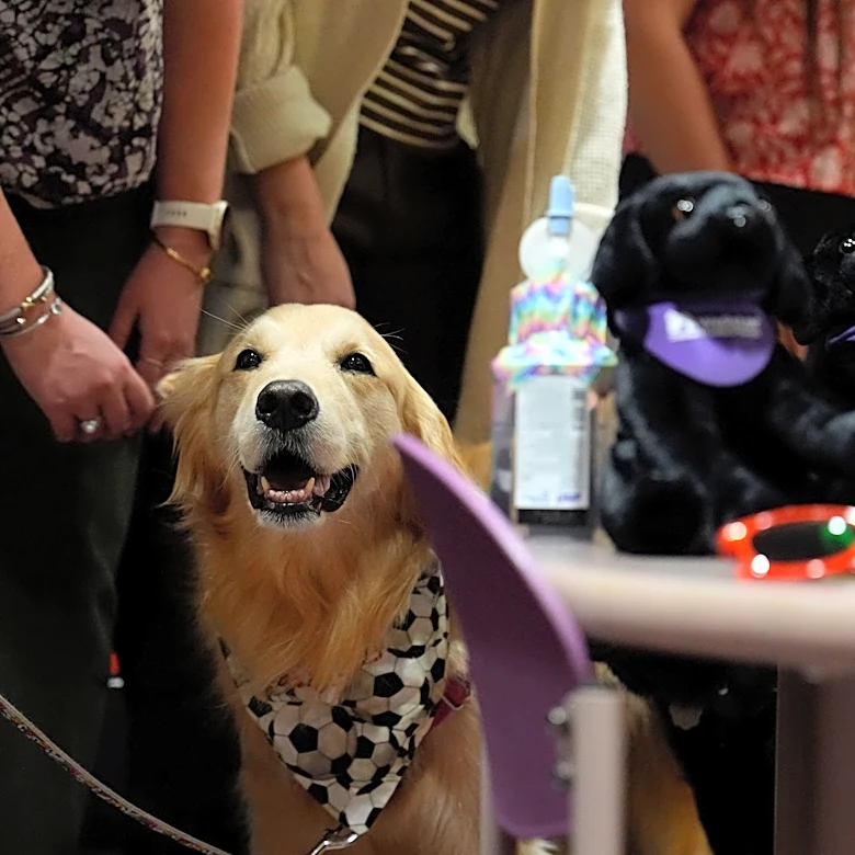 Wellstar Children's Hospital celebrates facility dog's birthday