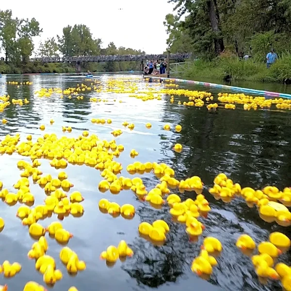Thousands of rubber ducks help Augusta children sleep easier