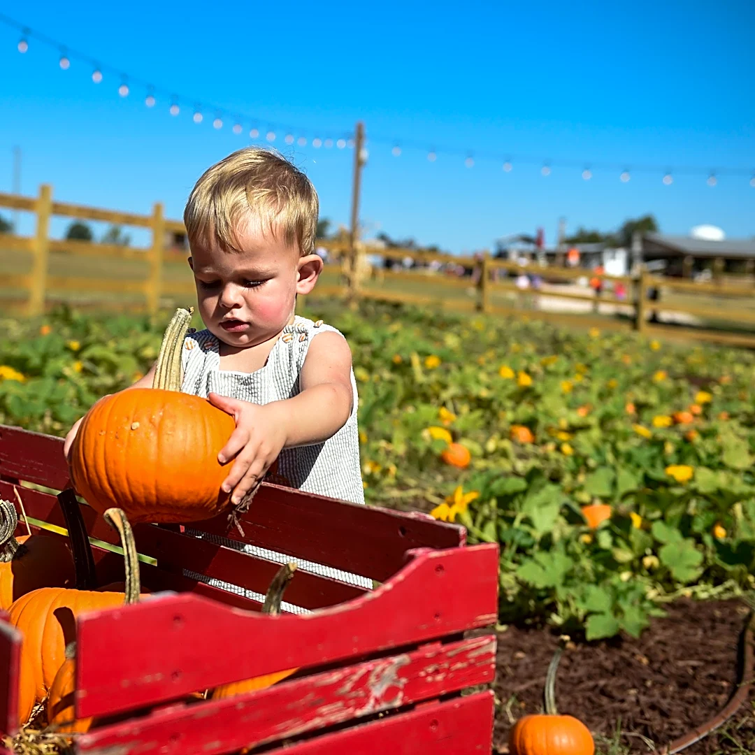 Augusta readies for tricks, treats and fall festivities